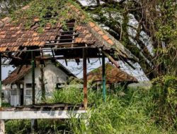 Miris! Rest Area Mantingan di Perbatasan Jawa Timur–Jawa Tengah Terbengkalai Lebih dari Satu Dekade, Fasilitas Rusak dan Tak Terawat