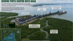 Di Tengah Mangrove Teluk Adang, Berdiri Pintu Ekspor Batu Bara Ketika Aktivitas Industri dan Kawasan Konservasi Berada dalam Satu Bentang Alam