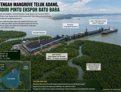 Di Tengah Mangrove Teluk Adang, Berdiri Pintu Ekspor Batu Bara Ketika Aktivitas Industri dan Kawasan Konservasi Berada dalam Satu Bentang Alam