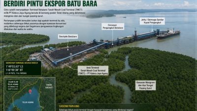 Di Tengah Mangrove Teluk Adang, Berdiri Pintu Ekspor Batu Bara Ketika Aktivitas Industri dan Kawasan Konservasi Berada dalam Satu Bentang Alam