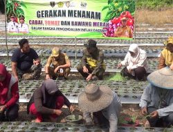 Petani Banyu Tajun Uji Coba Budidaya Bawang Merah dari Biji, Tekan Biaya Produksi