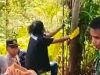 Perempuan Paruh Baya Pegawai Kemenag Mamuju Ditemukan Meninggal Dunia Kondisi Tergantung di Pohon