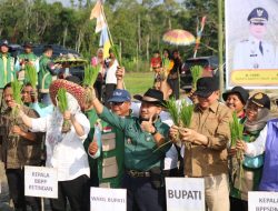 Tanam Padi Bersama di Desa Tumpung Ulung Perkuat Sinergi Wujudkan Swasembada Pangan Nasional