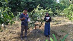 DPK Bartim Dukung Cikal Bakal Desa Wisata Tematik dan Agroteknologi di Haringen