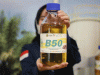 Mulai Hari Ini, Biodiesel B50 Resmi Dijual di SPBU, Harga Diperkirakan Rp6.800 per Liter
