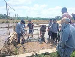 Genjot Produktivitas Pangan, Sosialisasi Sistem Pertanian Modern PM-AAS Digelar di Teupah Selatan