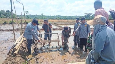 Genjot Produktivitas Pangan, Sosialisasi Sistem Pertanian Modern PM-AAS Digelar di Teupah Selatan