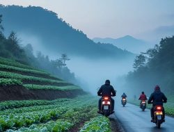 Fenomena “Bediding” Selimuti Kota Batu, Suhu Turun Drastis Warga Diminta Jaga Kesehatan