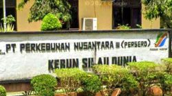 Ketua DPC LSM Elang Mas Kabupate  Simalungun Kecewa Ulah Manager Kebun Silau Dunia FR, Diduga Selewengkan Uang Lembur Satpam