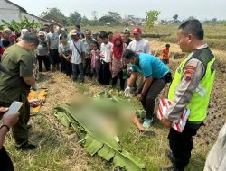 Warga Desa Kertaharja, Tegal, Ditemukan Tak Bernyawa di Sawah, Polisi Tidak Menemukan Adanya Kekerasan