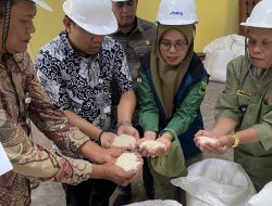 Padang Pariaman Perketat Pengawasan Beras Bantuan, 48.507 Keluarga Dipastikan Terima Sesuai Standar