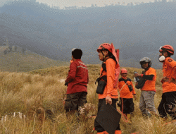 Kenapa Gunung Bromo Kerap Terbakar ? Bukan Sekadar Musim Kemarau, Faktor Manusia Jadi Sorotan