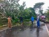 Kolaborasi Lintas Sektor Bersihkan Pohon Tumbang di Jalan Lintas Sinabang-Kampung Aie, Kades Batu-Batu Apresiasi Gotong Royong
