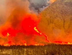 Kawasan Wisata Gunung Bromo Ditutup Total, Akibat Kebakaran Hutan Meluas