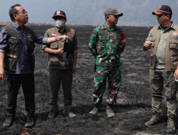 Karhutla Bromo Masuk Hari ke-10, BNPB Ungkap 3 Kendala Utama Pemadaman