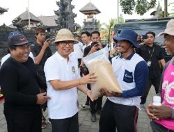 Badung Modernisasi Pertanian Melalui Metode PMAAS, Bupati Adi Arnawa Targetkan Produktivitas Padi Tembus 12 Ton Per Hektar