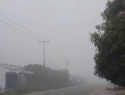 Asap Karhutla Menyeberang ke Sumbar, Lima Daerah Diselimuti Kabut