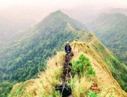 Dua Pendaki Gunung Piramid Bondowoso Ditemukan Meninggal
