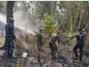 Lanal Ketapang Bergerak Padamkan Karhutla di Kendawangan, Kalbar
