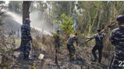 Lanal Ketapang Bergerak Padamkan Karhutla di Kendawangan, Kalbar