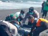 Diduga Korban Laka Laut, Mayat Pria Tanpa Identitas Mengapung di Pantai Pandanwangi Lumajang
