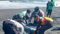 Diduga Korban Laka Laut, Mayat Pria Tanpa Identitas Mengapung di Pantai Pandanwangi Lumajang