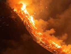 Bromo Masih Membara, 520 Hektare Lahan Terbakar, Tiga Helikopter Water Bombing Dikerahkan