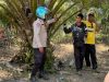 Bhabinkamtibmas Polsek Pangale Polres Mamuju Tengah Lakukan Pencarian Warga yang Dilaporkan Hilang