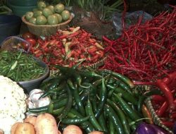 Harga Pangan Padang Pariaman 29 September 2026: Bawang Merah Anjlok, Cabai dan Minyakita Justru Melonjak