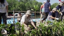 HUT Ke-50 Perumda Tirta Mangutama, Ketua TP PKK Badung Dukung Penanaman 2.000 Mangrove