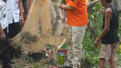 Panen Perdana Ikan Nila BUMDes Unru Nyingkai, Bupati Barito Timur Dorong Desa Kembangkan Usaha Produktif