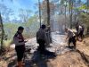 Kebakaran Hutan di Gunung Buthak, Jalur Pendakian Ditutup Sementara