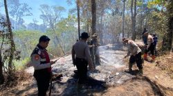 Kebakaran Hutan di Gunung Buthak, Jalur Pendakian Ditutup Sementara