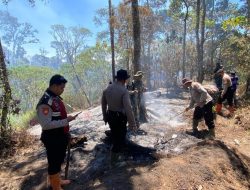 Kebakaran Hutan di Gunung Buthak, Jalur Pendakian Ditutup Sementara