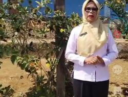Program “Menata Kota, Membangun Desa”, SD Negeri 12 Kota Agung Belum Tersentuh Pembangunan Terkesan di pilih pilih