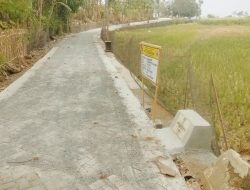 Percepatan Pavingisasi, Pemdes Babadan Dorong Aksesibilitas dan Pertumbuhan Ekonomi Desa