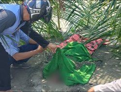 Polsek Sampaga Polresta Mamuju Evakuasi Mayat Tanpa Identitas di Pantai Dato