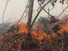 Kebakaran Lahan Pertanian di Muara Medak Belum Padam, Warga Berjibaku Jinakkan Api