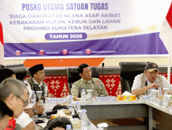 BNPB Perkuat Penanganan Karhutla Sumsel, 404 Hektare Lahan Terbakar