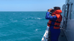 Pencarian Korban KM Virgo Transport 8, 129 Orang Masih Dicari, Tim SAR Hadapi Laut Ganas