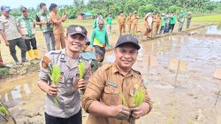 Kebanggaan Daerah, Simeulue Dipercaya Wakili Aceh dalam Tanam Serempak Nasional di Desa Abail