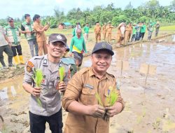 Kebanggaan Daerah, Simeulue Dipercaya Wakili Aceh dalam Tanam Serempak Nasional di Desa Abail