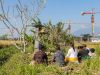 Sawah Warisan Leluhur Terancam Betonisasi, Petani Bakbakan Pilih Berdoa Dibanding Terima Uang Ganti Rugi