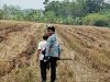 Mengenal Tugas Kasi Survei dan Pemetaan di Kantah ATR BPN Kabupaten Tegal,