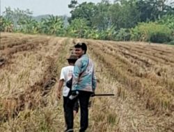 Mengenal Tugas Kasi Survei dan Pemetaan di Kantah ATR BPN Kabupaten Tegal,