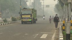 Angin Tak Punya KTP! Kabut Asap dari Wilayah Lain Sampai ke Tabalong
