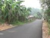 Progres Jembatan Tembus 90 Persen, Jalan Mantap Tabalong Terus Dikebut!