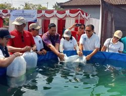 Ketua TP PKK Badung Serahkan Bantuan Sarana Budidaya Lele di Darmasaba