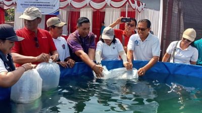 Ketua TP PKK Badung Serahkan Bantuan Sarana Budidaya Lele di Darmasaba