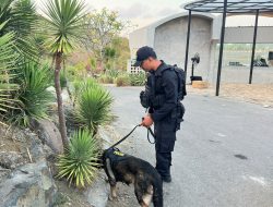 Polisi Pastikan Steril, Anjing Pelacak K-9 Sisir Tiga Zona MotoGP Mandalika 2026